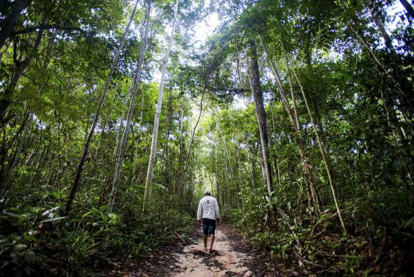 Relatório considera que é urgente implementar a compensação financeira pelas reservas ambientais e a possibilidade de quem tem reserva excedente negociar seus ativos florestais