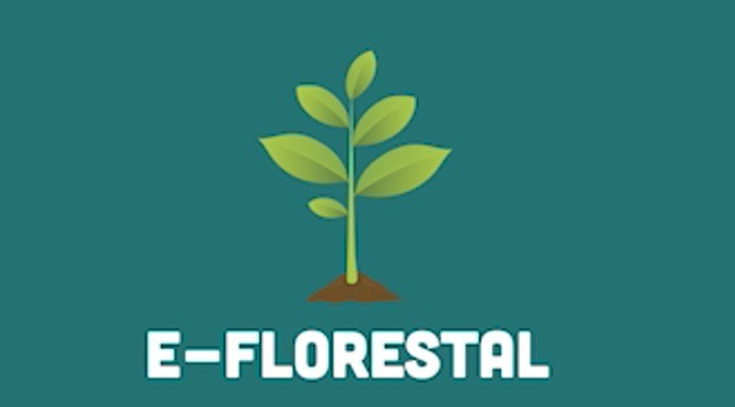 Ferramentas do Imasul agilizam processos de licenciamento ambiental em MS Foto: Arquivo