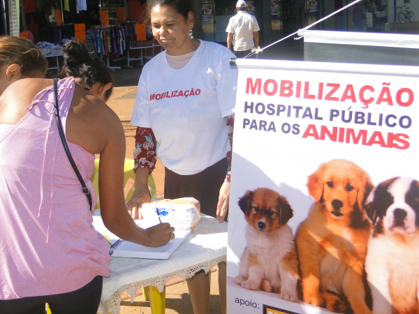 Sociedade faz campanha por hospital público para animais Advogada de Dourados encabeça movimento pela implantação de hospital público para animais (foto - Flávio Verão)