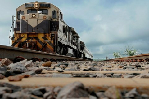 Foto: Site Surgiu