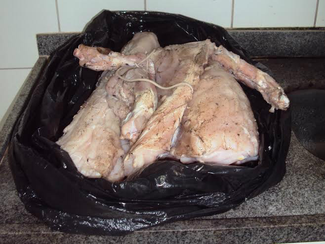 PM prende e PMA autua caçadores campo-grandenses com jacaré abatido