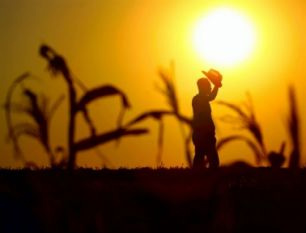 Para produzir mais, é preciso investimento