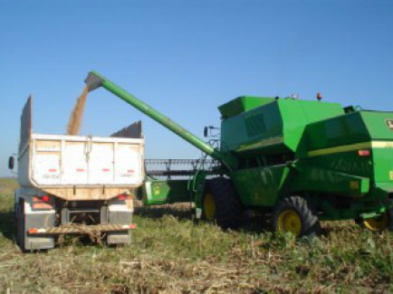 Portaria altera Valor Real Pesquisado do milho, sorgo, soja e derivados