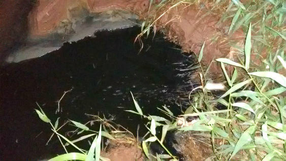 PMA autua frigorífico de Naviraí por falha no sistema de tratamento