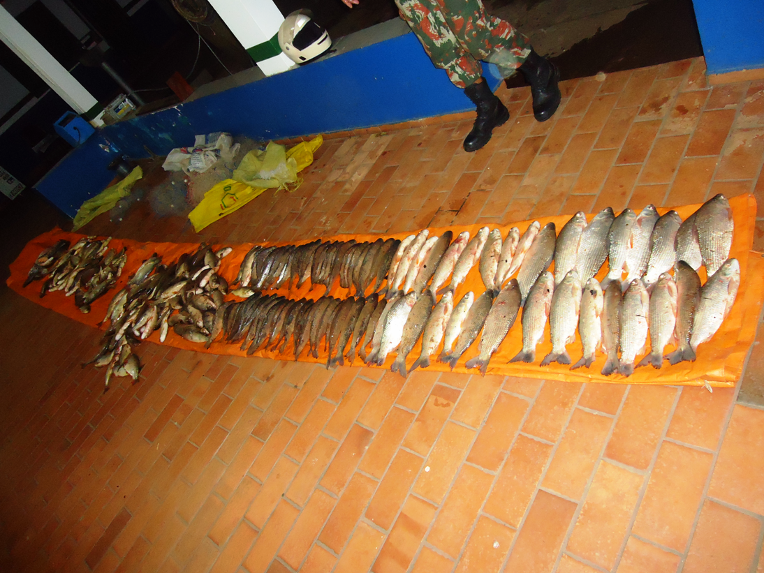 PMA autua pescador com 112 kg de pescado ilegal capturados no rio Taquari