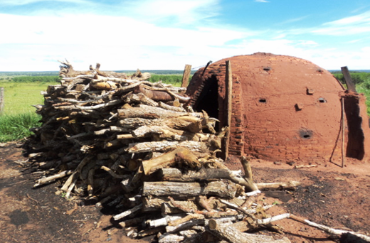 PMA fecha carvoaria ilegal e aplica multa de R$ 6 mil em proprietário