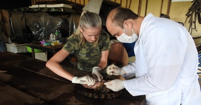 PMA conclui curso de taxidermia