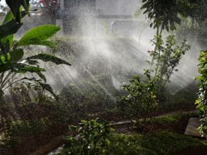 Soluções sustentáveis são levadas cada vez mais em conta pelos brasileiros