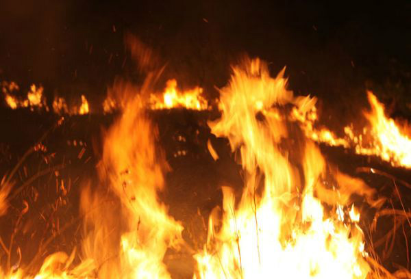 Setembro registra 15.622 focos de incêndio em todo o país