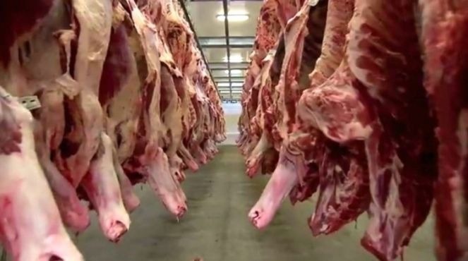 Produção de carne aumenta em MS (Foto: Divulgação)