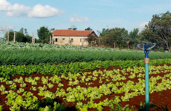 Normas do crédito rural serão apresentadas em oito encontros regionais em MS