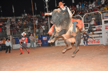 Primeiro dia do rodeio em Bonito arrecada 8 toneladas de alimentos Peão rondonense Marcos Araujo, de Cacoal, arrancou a plauso do público ontem em Bonito.