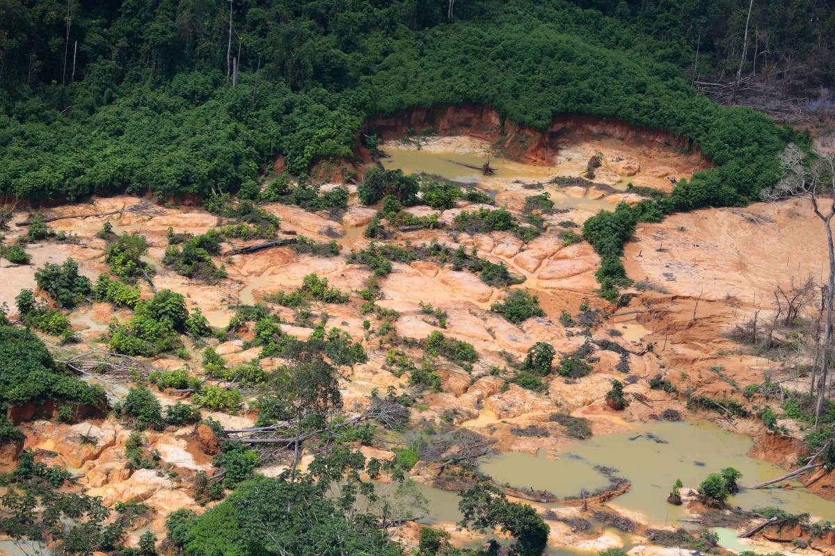 Como o PCC se infiltrou nos garimpos em Roraima Registro de invasão de garimpeiros em terra indígena ianomâmi em maio de 2020, no estado de Roraima – Chico Batata/Greenpeace