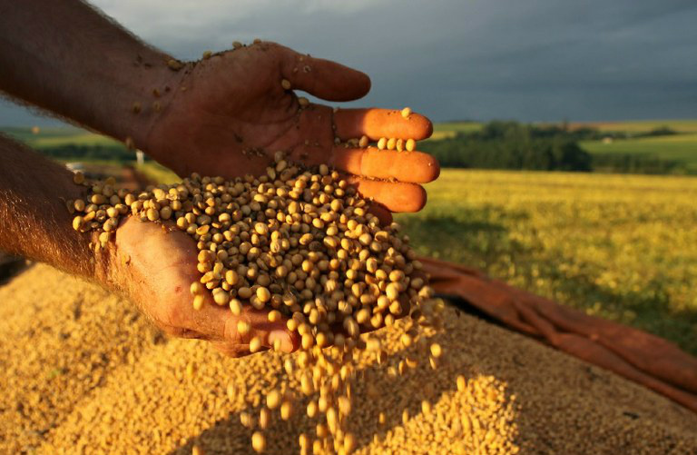 Novidade permite que os produtores rurais incluam as recomendações de plantio de forma mais confiávelFoto: Divulgação