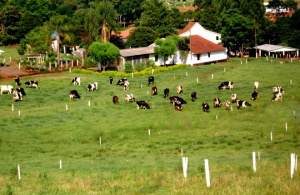 Propriedades rurais de Amambai precisam ser regularizadas / Foto: Moreira Produções