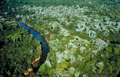 Veja o perfil de Mato Grosso do Sul