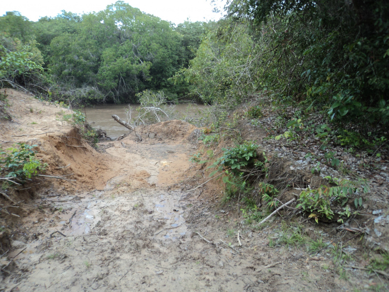 PMA autua fazendeiro paulista por desmatamento ilegal de área protegida