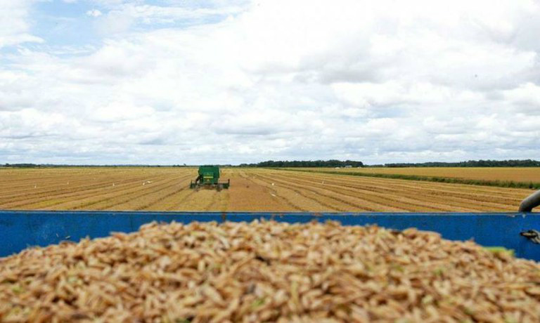 Um novo recorde na agropecuária O horizonte é positivo para a agropecuária