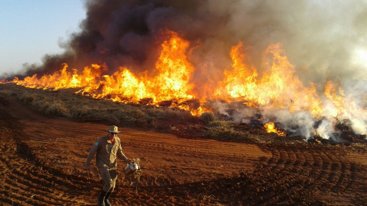 Incêndios e acidentes de trânsito são os destaques da semana dos Bombeiros Foto: Corpo de Bombeiros