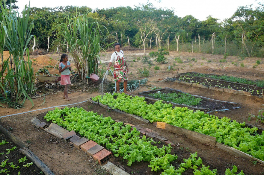 Avanço da política de inclusão produtiva rural é debatido entre ministros
