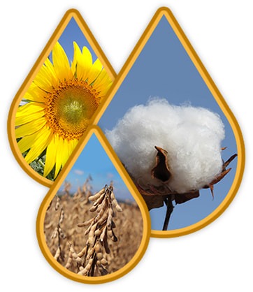 Congresso vai reunir especialistas para discutir a produção de biodiesel no País Congresso vai reunir especialistas para discutir a produção de biodiesel no País