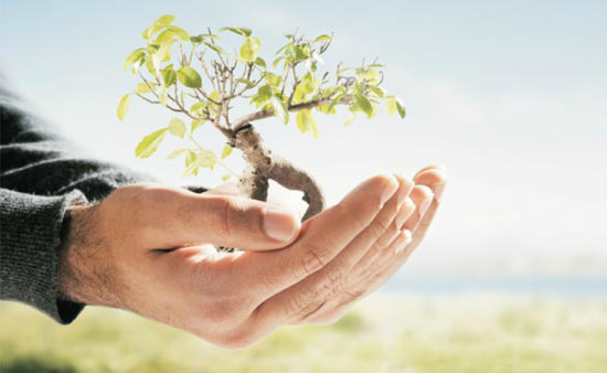 Produtos para construção ajudam a preservar o meio ambiente; veja opções