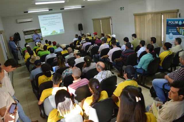 Em uma década MS chegará ao topo do ranking nacional em área plantada de flores Em uma década MS chegará ao topo do ranking nacional em área plantada de flores