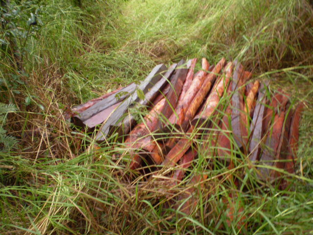 PMA autua fazendeiro em R$ 5 mil por extração ilegal de madeira em reserva legal