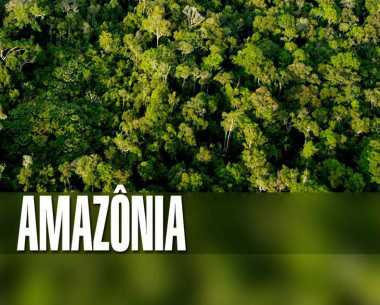 5 de setembro - Dia da Amazônia Foto: divulgação