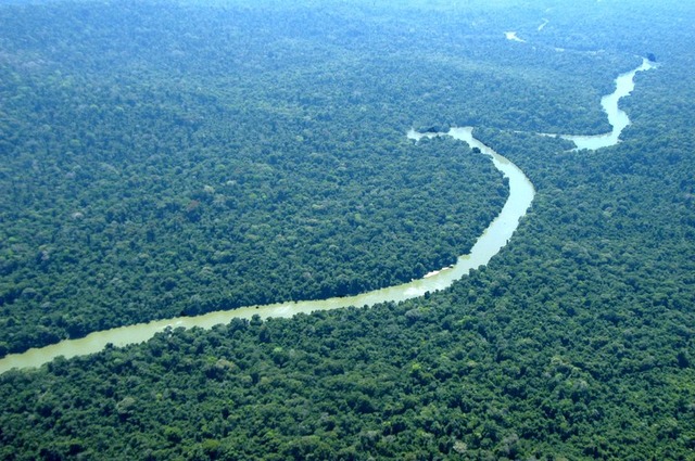 Decreto que extingue a Renca determina proteção à vegetação, unidades de conservação e terras indígenas 