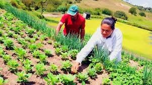 Lista de produtos com bônus para Garantia de Preços para a Agricultura