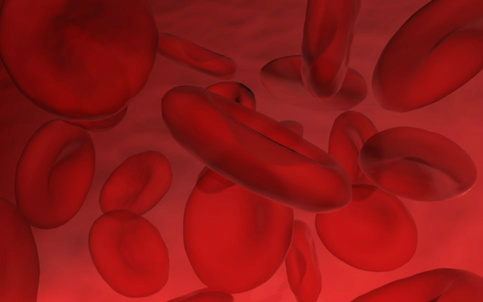 Sangue artificial criado a partir de células-tronco será testado em humanos