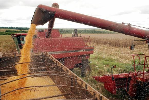 Agropecuária se destaca e gera 9,8 mil empregos em 2015