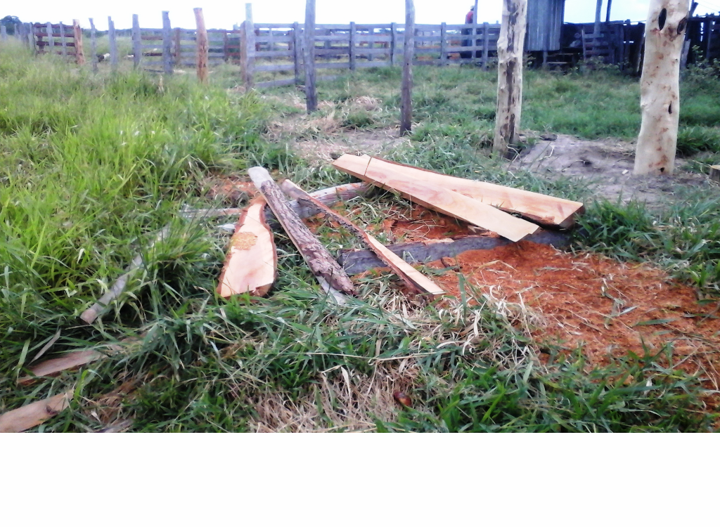 PMA autua fazendeiro por crime de extração ilegal da madeira