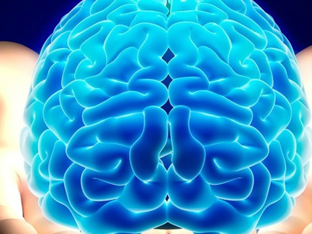 Cérebro humano teria capacidade para 'armazenar' a internet inteira