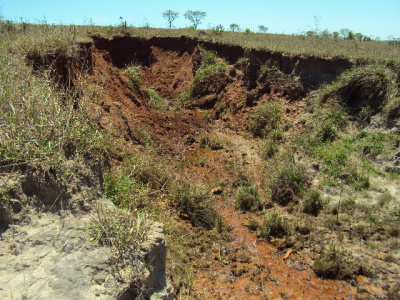 PMA autua Fazenda Nossa Senhora Aparecida em R$ 300 mil durante Operação Padroeira do Brasil