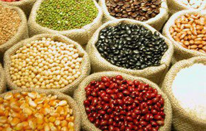 Clima será decisivo para produção de grãos