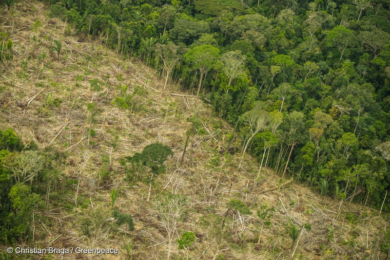 Foto: Christian Braga/Greenpeace