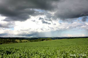 Inverno começa nesta quarta com previsão de baixas temperaturas no Sul e em MS