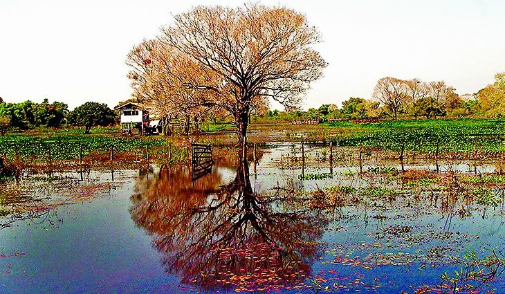Outono começa com sol entre nuvens e chuvas isoladas Foto: Saul Schramm (Estrada Parque)