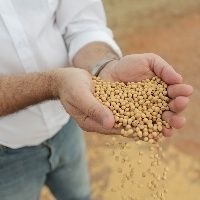 “Não vemos perspectivas de altas significativas” Foto: Divulgação
