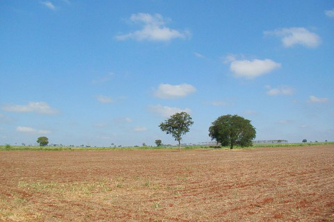 Foto: Ascom Famasul