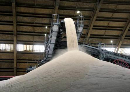 Segundo análise da Archer Consulting, divulgada no último sábado (9), o mercado parece ter se sustentado bem apesar da queda da moeda brasileira.