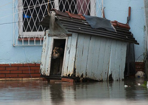 Chuvas já afetam mais de 3 mil pessoas no RS Subiu para 3.453 o número de desalojados e desabrigados por conta das chuvas no Rio Grande do Sul, de acordo com boletim da Defesa Civil do Estado, publicado