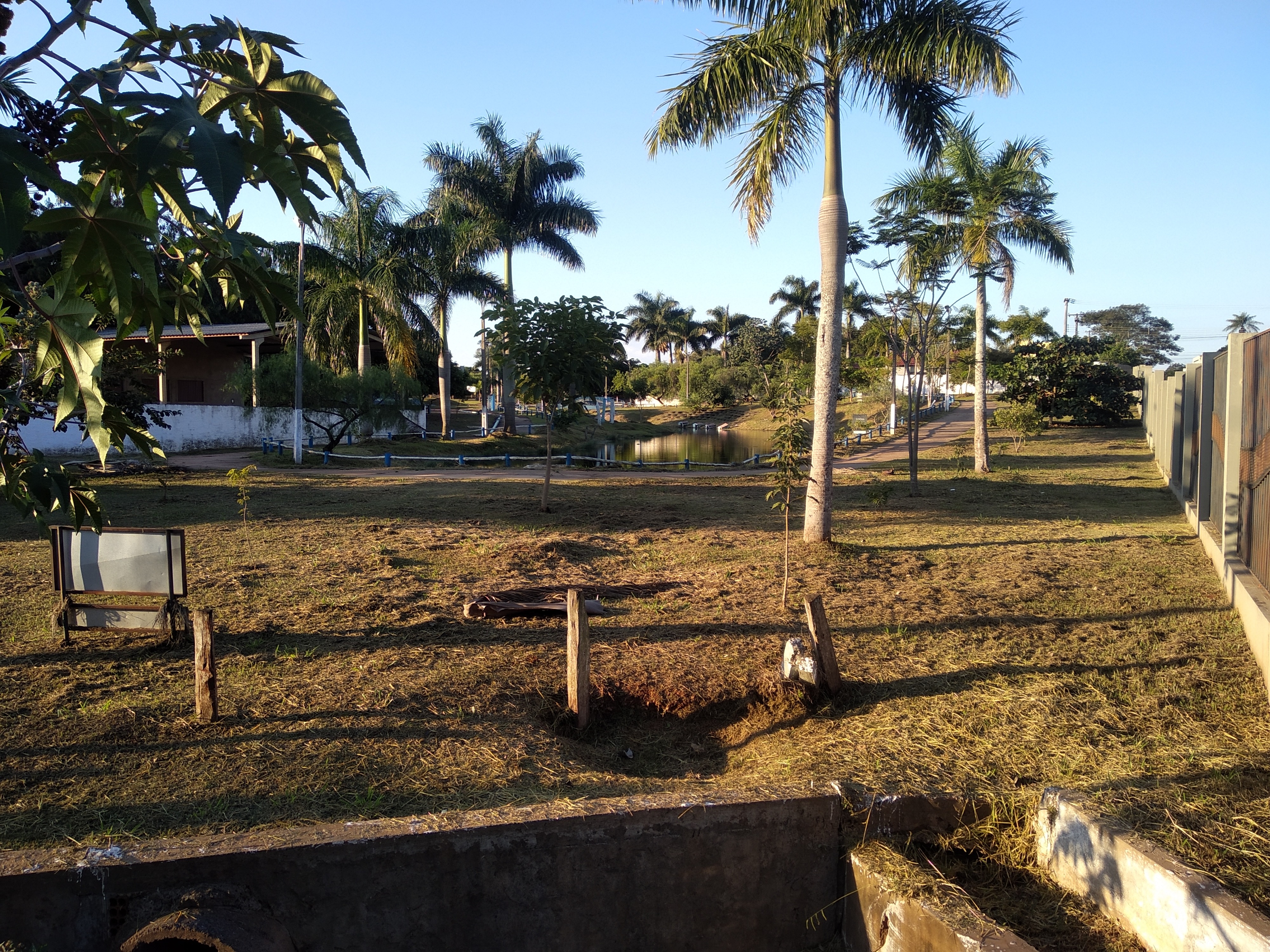 Revitalização do Parque da Cidade é solicitada pelo vereador Brito Foto: Moreira Produções