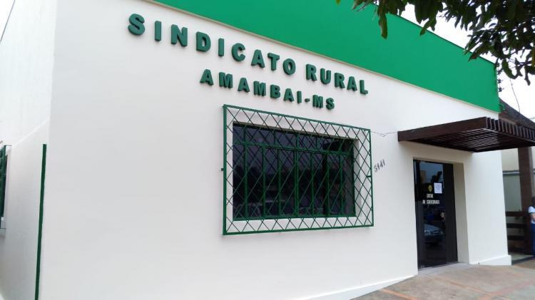Sindicato Rural promove leilão de 500 cabeças de gado, em Amambai Foto: Divulgação