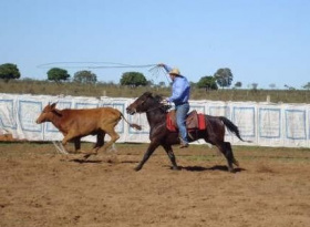 Agenda do final de semana em Amambai e região O tradicional laço comprido é opção para este final de semana em Caarapó.