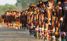 CNA acusa Funai e CIMI de "estimular os índios a invadir terras produtivas" CNA acusa Funai e CIMI de "estimular os índios a invadir terras produtivas"
