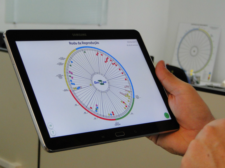 Aplicativo ajuda na gestão do rebanho leiteiro Tela do aplicativo Roda da Reprodução: disponível para celulare e tablets com sistema operacional Android