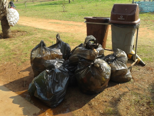 PMA, Florestinha e parceiros farão Educação Ambiental para 4 mil alunos